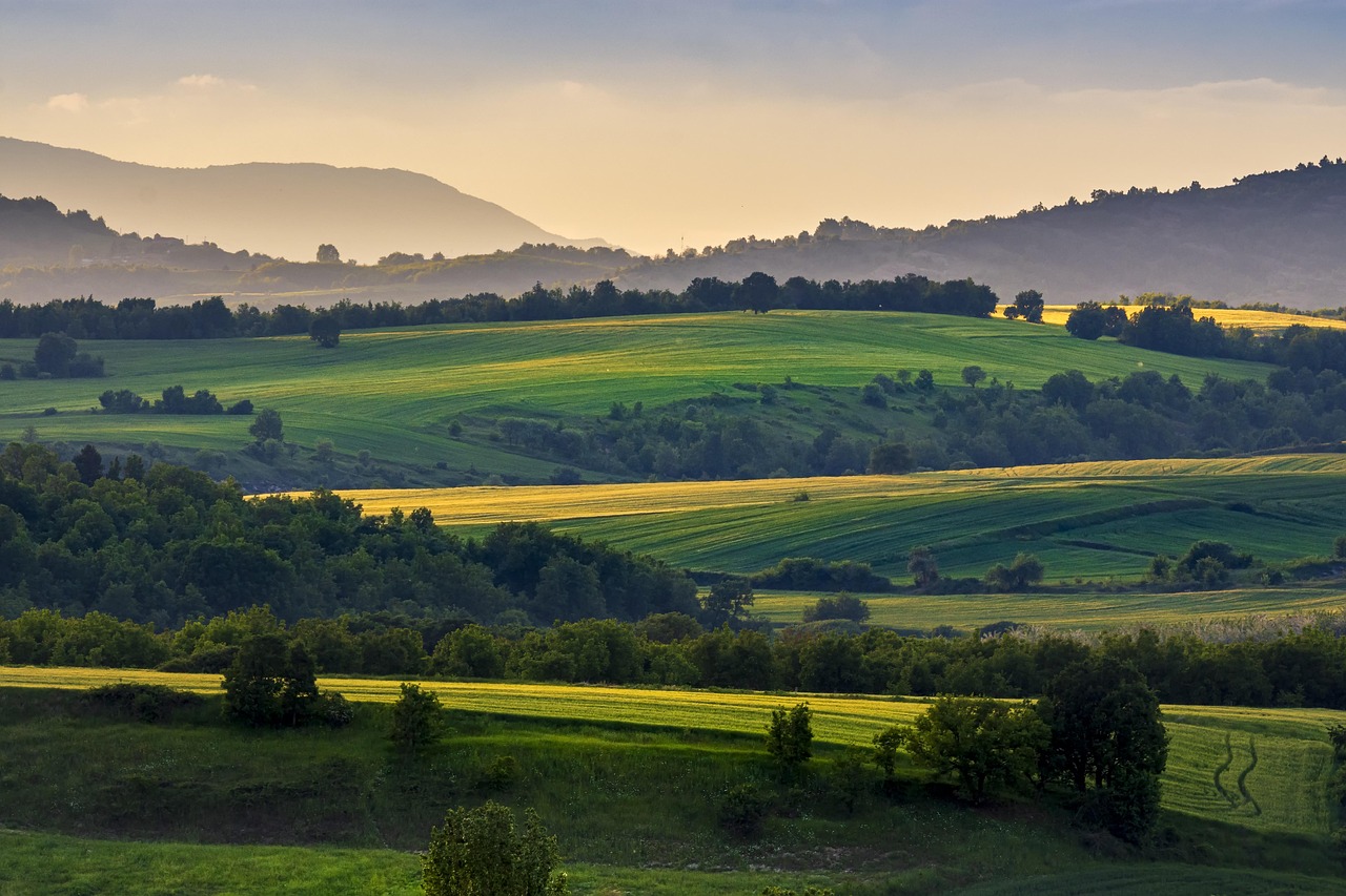 IASTM Darling & Western Downs – Rolling green hills in a prestigious rural setting.