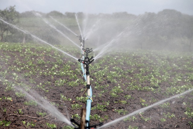 Comparison of healthy farmland and improved joint movement after SFMA.