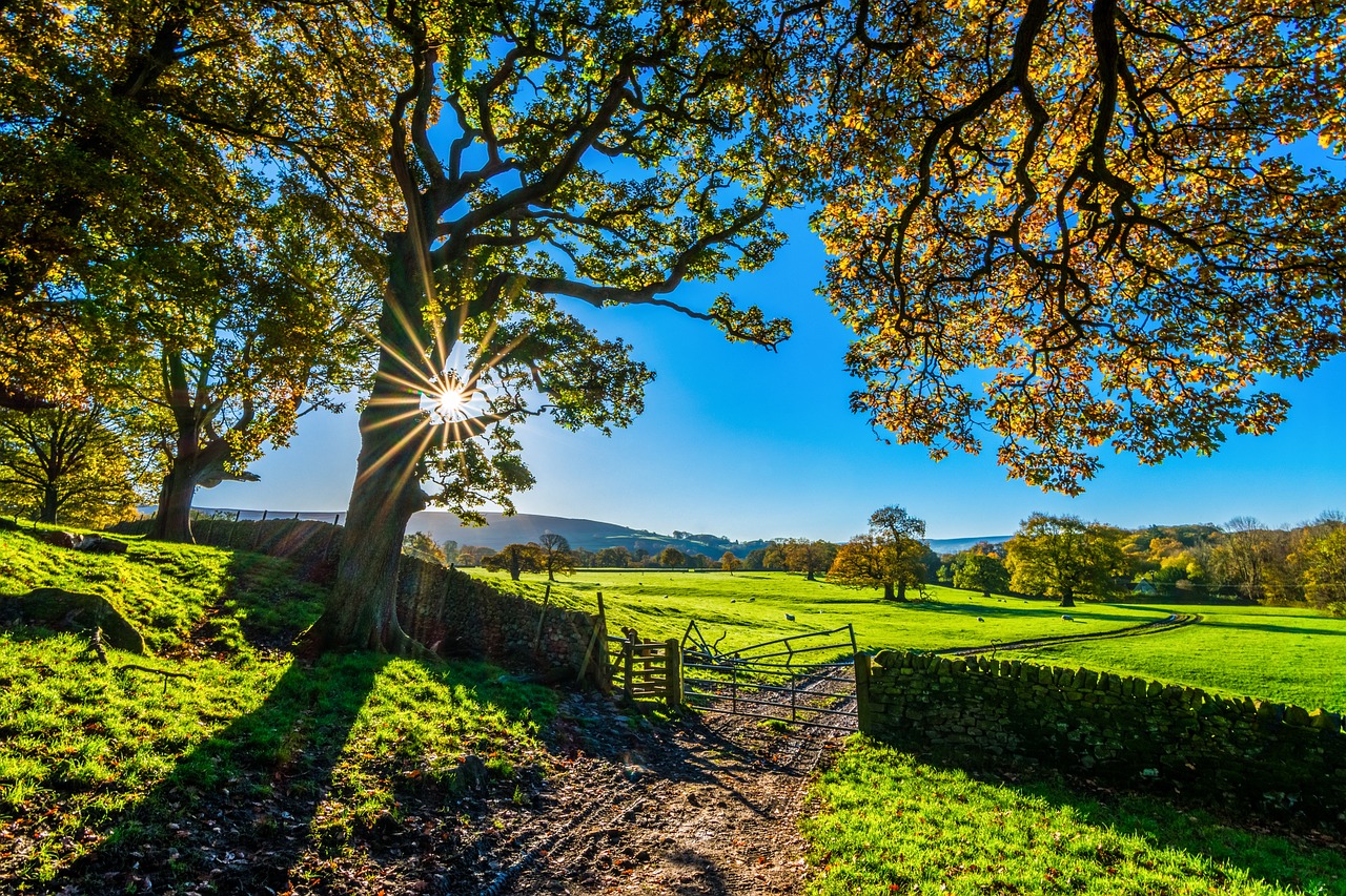 SFMA Darling & Western Downs – a vast rural landscape symbolizing enhanced movement.